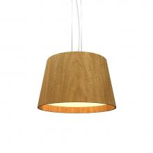 Accord Lighting Canada 1145.09 - Conical Accord Pendant 1145