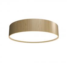 Accord Lighting Canada 504LED.45 - Cylindrical Accord Ceiling Mounted 504 LED