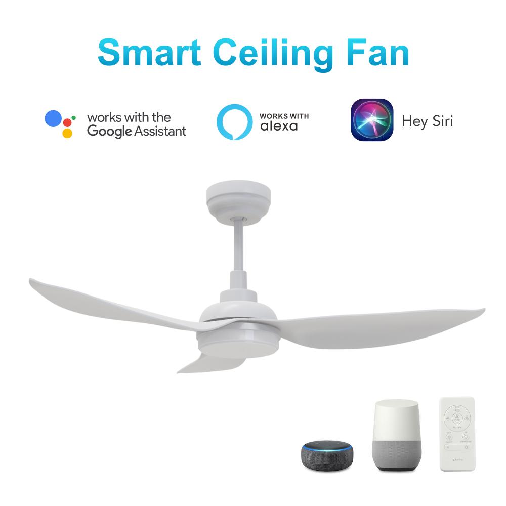 Daffodil 45-inch Smart Ceiling Fan with Remote, Light Kit Included, Works with Google Assistant, Ama