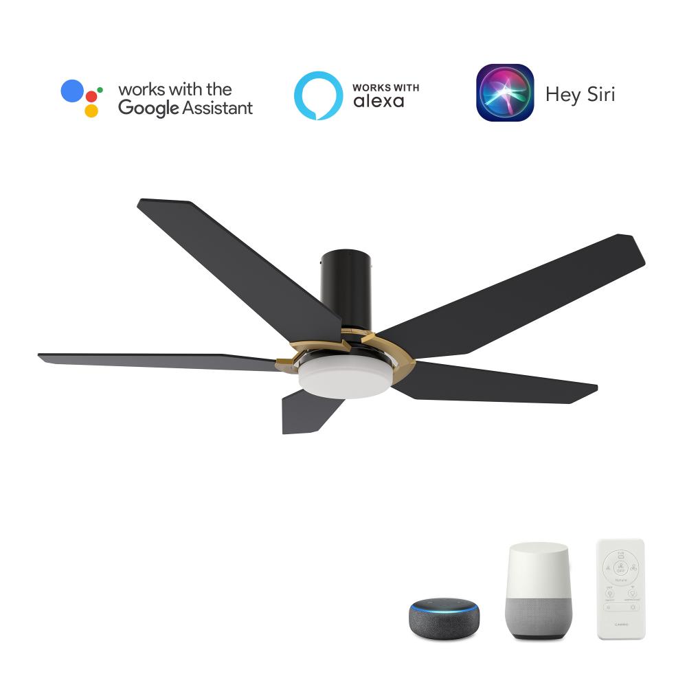 Woodrow 48-inch Smart Ceiling Fan with Remote, Light Kit Included, Works with Google Assistant, Amaz