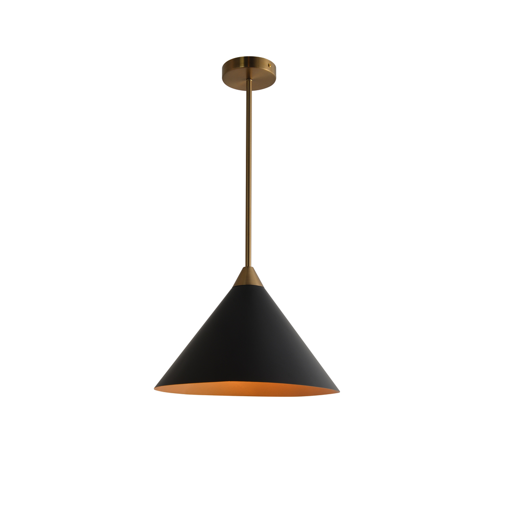 Paris Pendant With Matte Black Finish