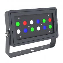 Westgate MFG C2 DMX-FLS-36W-RGBW-BT-BK - DMX 512 COMPATIBLE RGBW SERIES