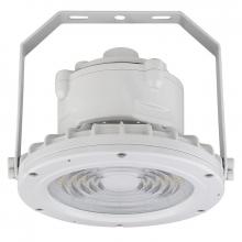 Westgate MFG C2 EXPR-30W-50K - C1D2 HAZ. LOC. ROUND FLOOD HIGHBAY 120-277V 30W 50K GRAY