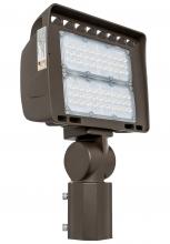 Westgate MFG C2 LF4-80CW-SF - LED ARCHITECTURAL FLOOD LIGHTS LF4 SERIES 120V-277V