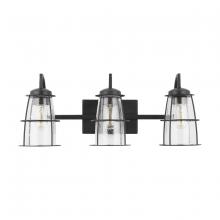 Austin Allen & Co - CA 9D296A - 3-Light Vanity with Clear Seeded Glass with Metal Cage Shades