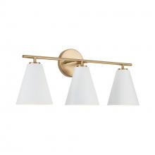 Austin Allen & Co - CA AA1039RE - 24"W x 10"H 3-Light Vanity in Matte Brass and White