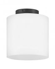 Lark Canada 83533BK - Extra Small Flush Mount