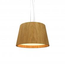 Accord Lighting Canada West (USD) 1145LED.09 - Conical Accord Pendant 1145 LED