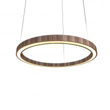 Accord Lighting Canada West (USD) 1431LED.18 - Frame Accord Pendant 1431 LED