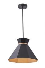 Vinci Lighting Inc. P1416-BKG - Pendant Aged Brass/Black