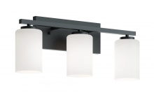 AFX Lighting, Inc. (Canada) LEOV2209MBBK - Leo 22'' Med Base Vanity,120V,BK