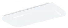 AFX Lighting, Inc. (Canada) RC417MV - Rigby 25" Fluorescent Linear