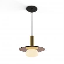 Koncept Inc Hawaii CMP-S1-S-06-BRS+GTEA9+GLB - Combi Pendant 6" Single Unit Brass with Matte Black Canopy, 9" glass plate (Tea Brown) attac