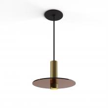 Koncept Inc Hawaii CMP-S1-S-06-BRS+GTEA9 - Combi Pendant 6" Single Unit Brass with Matte Black Canopy, 9" glass plate (Tea Brown) attac