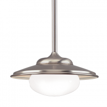 Hudson Valley Orange 9119-SN - 1 LIGHT PENDANT