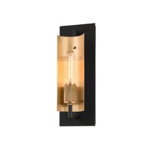 Troy Orange B6781-SBK/BBA - Emerson Wall Sconce