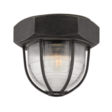 Troy Orange C3891-APW - Acme Flush Mount