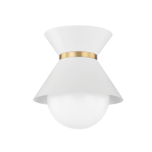 Troy Orange C8610-SWH/PBR - Scout Flush Mount