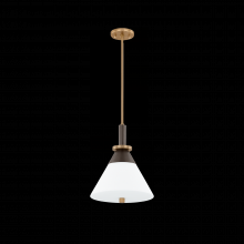 Troy Orange F4212-PBR/BRZ - Staton Pendant