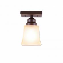 Avalanche Ranch Lighting A47501TS-28 - Woodland Ceiling Light Single - Rustic Plain - Tea Stain Glass Bowl - Dark Bronze Metallic Finish