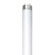 Stanpro (Standard Products Inc.) 69348 - FLUORESCENT LINEAR EUROPEAN T8 58W 4000K RAPID START (RS) MED BIPIN G13 RADIUM