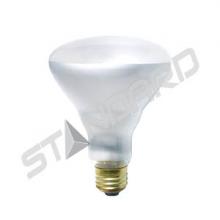 Stanpro (Standard Products Inc.) 59235 - 65BR30/FL/20M/120V/STD