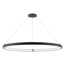 Eurofase Blue CA 38136-016 - Mucci, Large LED Pendant, Black