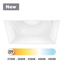 Eurofase Blue CA 45360-015 - 2 Inch Trimless Square Fixed Downlight in White