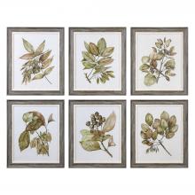 Uttermost CA 33643 - Seedlings Framed Prints S/6