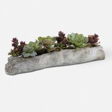 Uttermost CA 60174 - Charita Lush Succulents