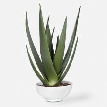 Uttermost CA 60177 - Evarado Aloe Planter