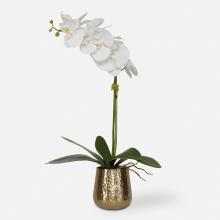 Uttermost CA 60189 - Cami Orchid With Brass Pot