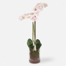 Uttermost CA 60196 - Blush Pink And White Orchid