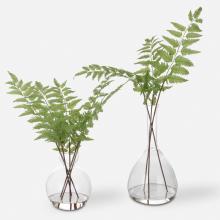 Uttermost CA 60202 - Country Ferns, S/2