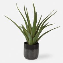 Uttermost CA 60204 - Tucson Aloe Planter