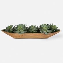 Uttermost CA 60205 - Uttermost Yuma Succulent Centerpiece