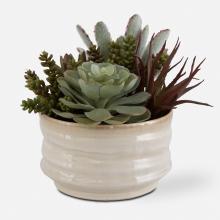 Uttermost CA 60209 - Mesa Succulent Accent