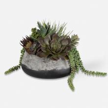 Uttermost CA 60214 - Uttermost Yuma Succulent Centerpiece