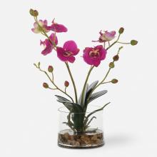 Uttermost CA 60220 - Glory Fuchsia Orchid