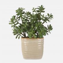 Uttermost CA 60226 - Uttermost Crassula Jade Accent Plant