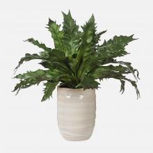 Uttermost CA 60229 - Uttermost Verdure Fern In Glazed Pot