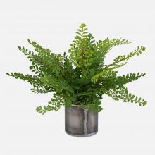 Uttermost CA 60237 - Uttermost Maidenhair Fern In Oxidized Container