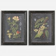 Uttermost CA 56053 - Uttermost Midnight Botanicals Wall Art S/2