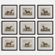 Uttermost CA 32343 - Uttermost Equine Dynasty Framed Prints, S/9