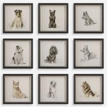 Uttermost CA 32344 - Uttermost Loyal Companion Framed Dog Prints, S/9