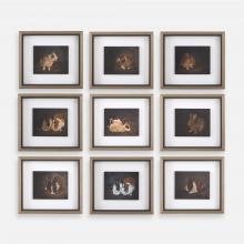 Uttermost CA 32386 - Uttermost Resting Bunny Framed Prints, S/9