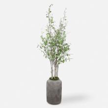 Uttermost CA 60146 - Uttermost Aldis Potted River Birch