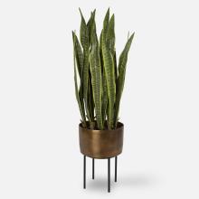 Uttermost CA 60185 - Uttermost Fasita Brass Planter 2 Cartons