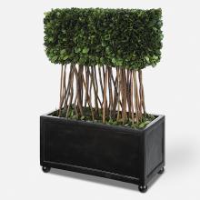 Uttermost CA 60188 - Uttermost Preserved Boxwood Rectangular Topiary