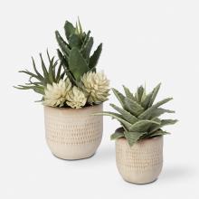 Uttermost CA 60208 - Uttermost Seaside Succulents, Set/2